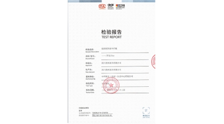 T2024ELP-R-2730703